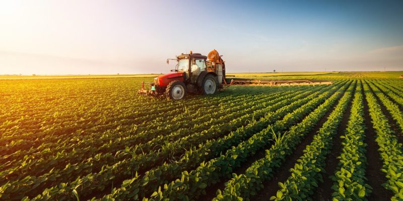 Descripción del Servicio 2